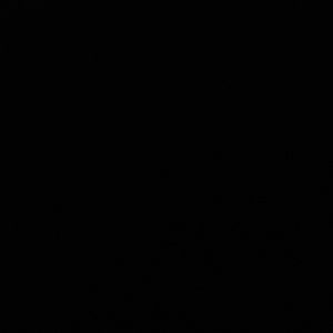 Meet your Posher, Meron